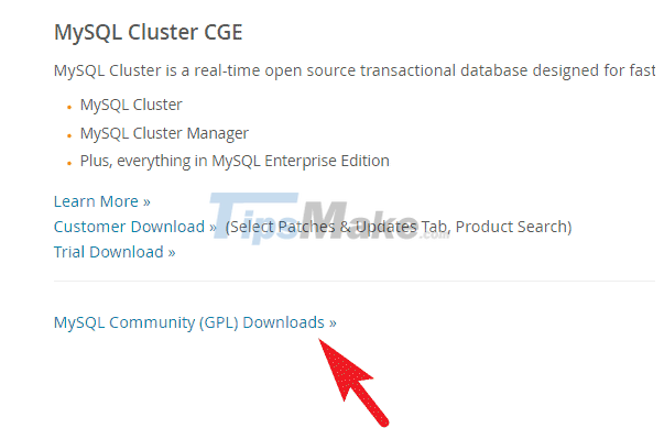 Instructions on how to install MySQL on Windows 11 computers Picture 4