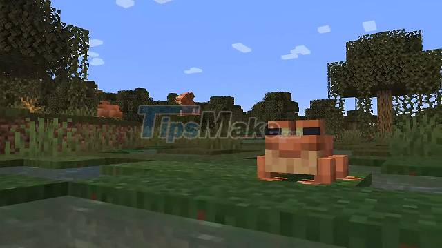 Minecraft: When will Frog mobs officially land? Picture 4