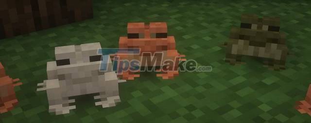 Minecraft: When will Frog mobs officially land? Picture 5