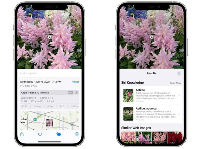 New features in the Photos app on iOS 15 Picture 3