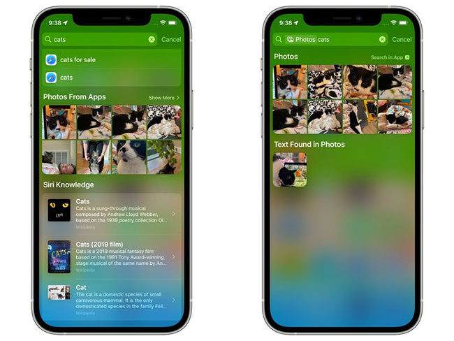 New features in the Photos app on iOS 15 Picture 7