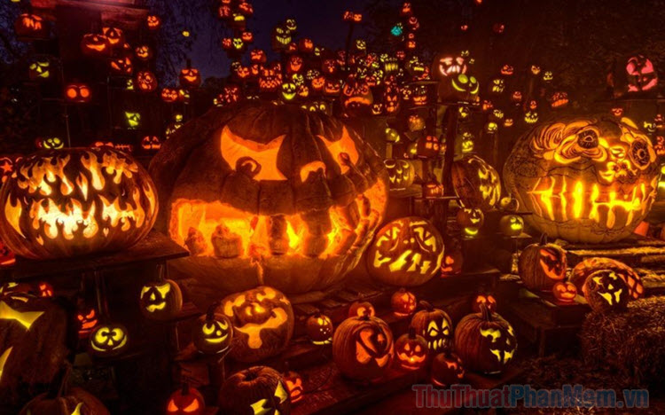 Pictures of beautiful Halloween pumpkins Picture 1