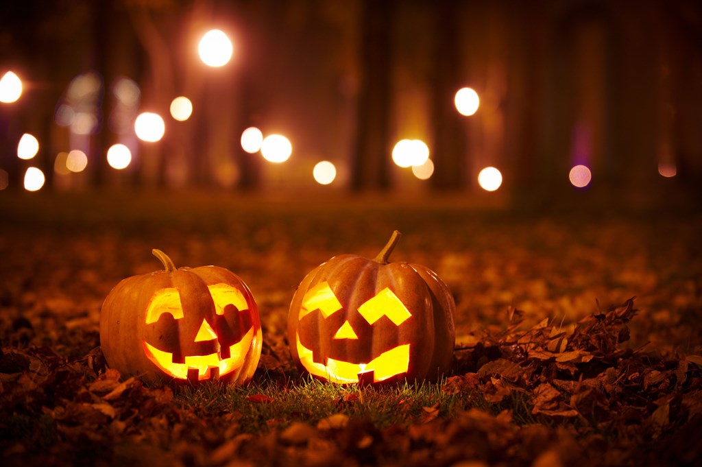 Pictures of beautiful Halloween pumpkins Picture 16