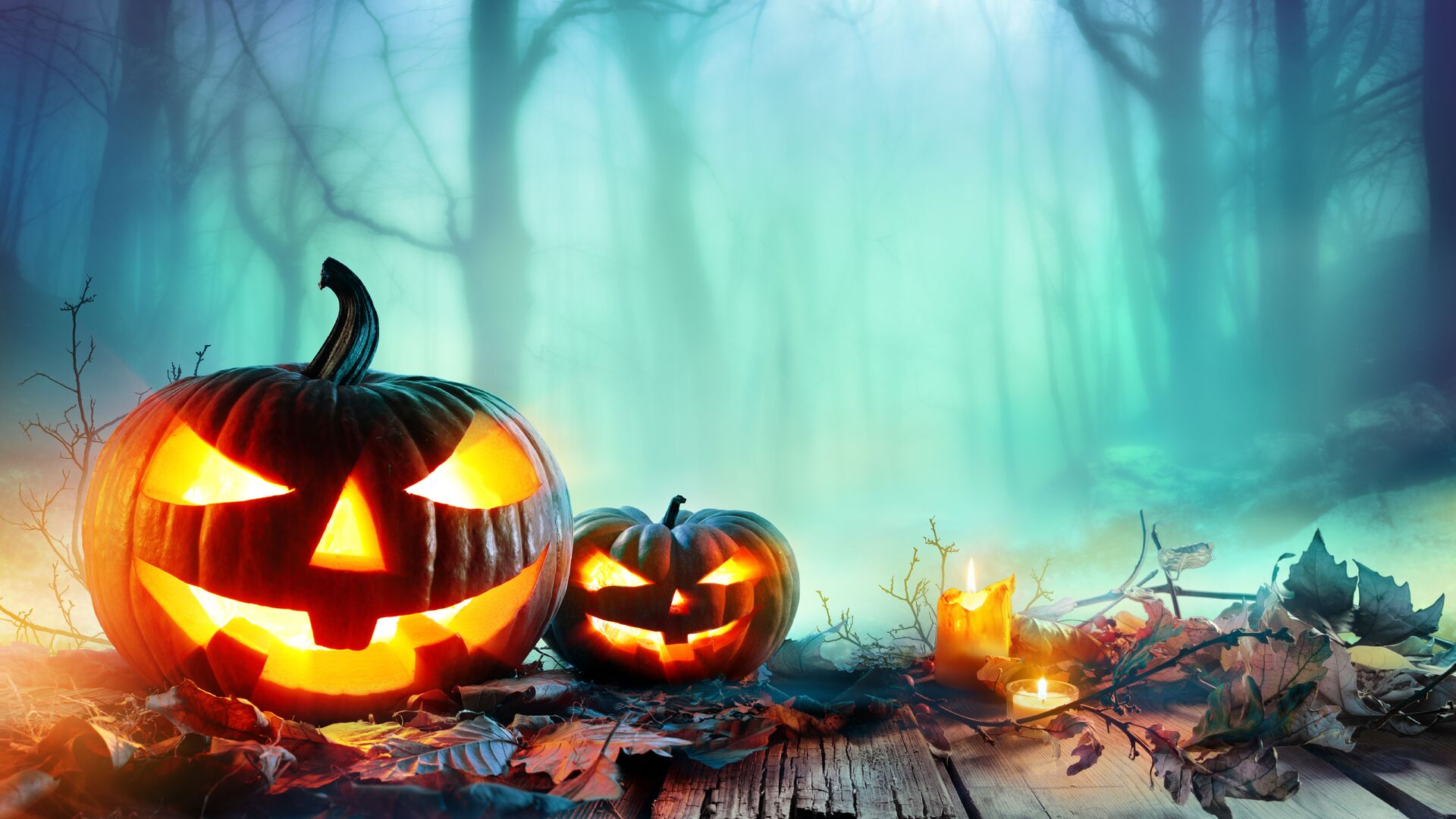 Pictures of beautiful Halloween pumpkins Picture 38