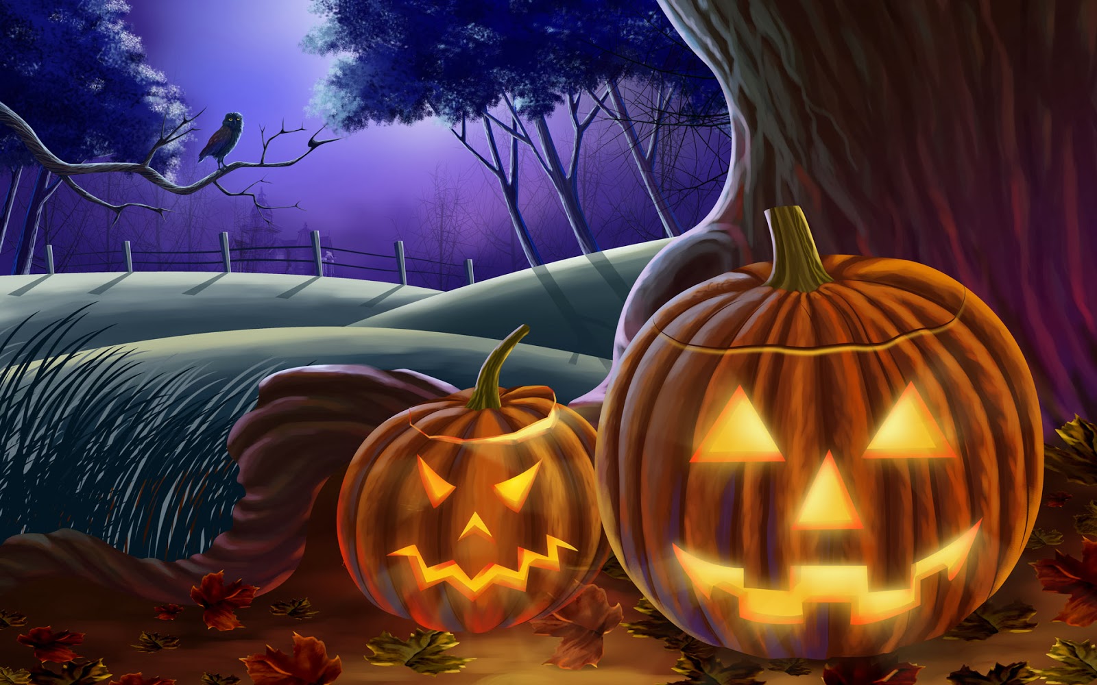 Pictures of beautiful Halloween pumpkins Picture 40
