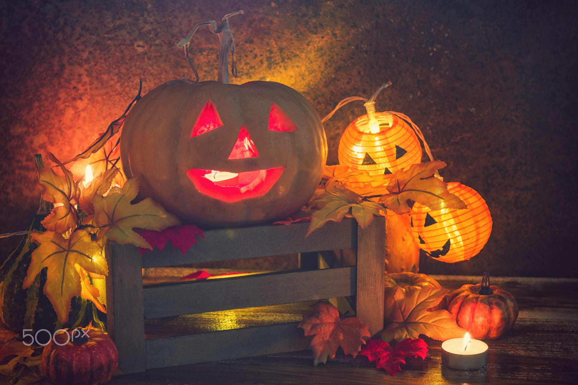 Pictures of beautiful Halloween pumpkins Picture 42