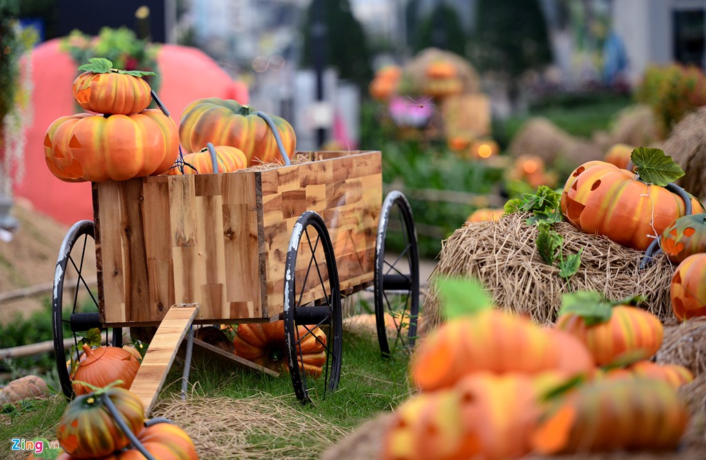 Pictures of beautiful Halloween pumpkins Picture 44