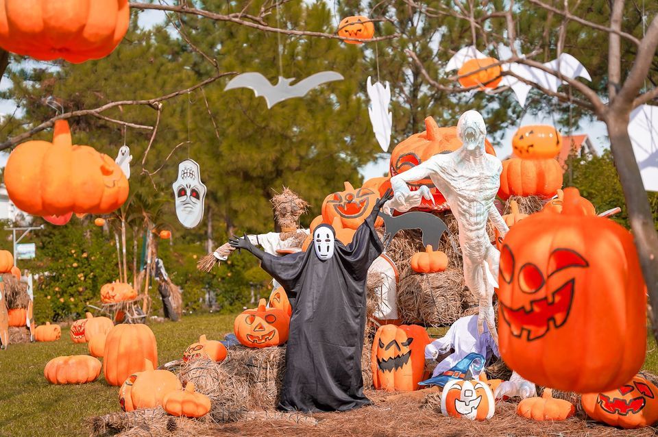 Pictures of beautiful Halloween pumpkins Picture 45