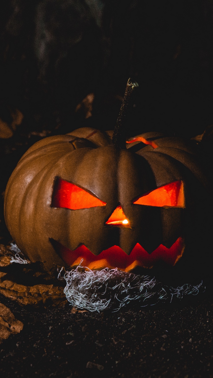 Pictures of beautiful Halloween pumpkins Picture 49