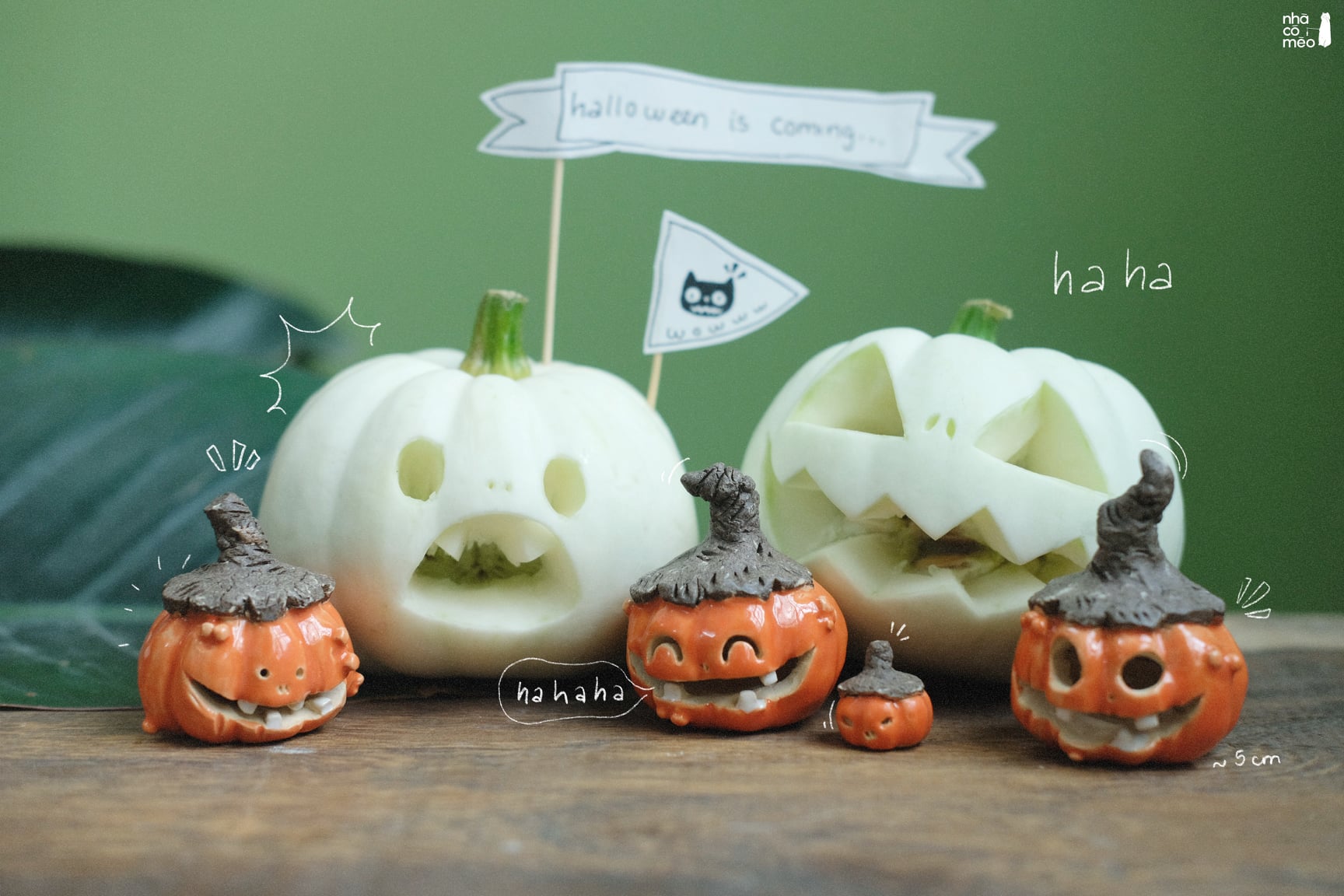 Pictures of beautiful Halloween pumpkins Picture 6