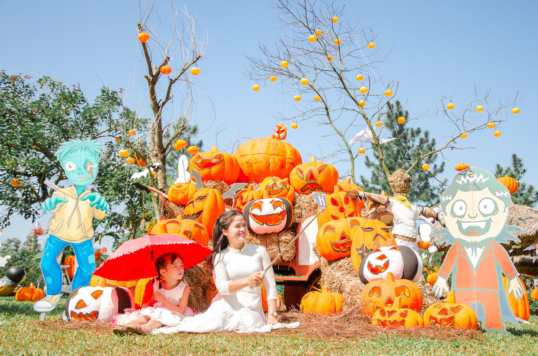 Pictures of beautiful Halloween pumpkins Picture 8