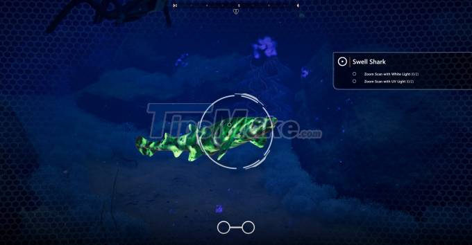 Review Beyond Blue - The underwater world is your home Picture 2