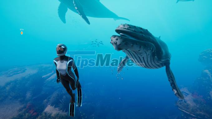 Review Beyond Blue - The underwater world is your home Picture 3