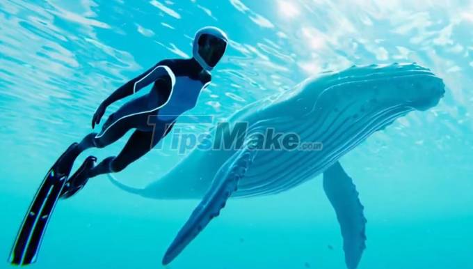 Review Beyond Blue - The underwater world is your home Picture 5