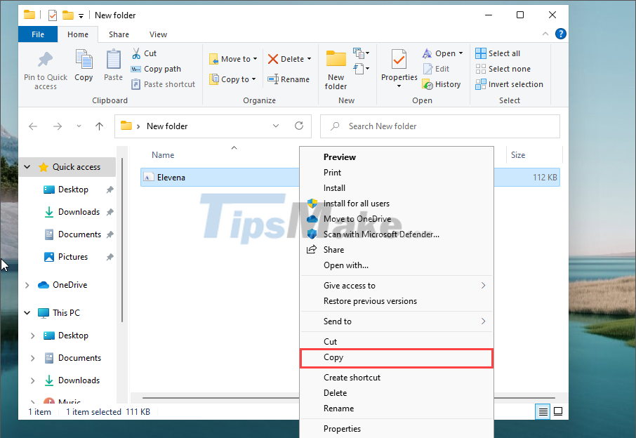 Steps to install Fonts for Windows 11 Picture 9