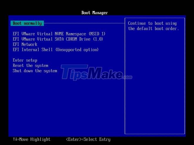 Steps to install windows 11 on virtual machine, how to install windows 11 on VMware Picture 8