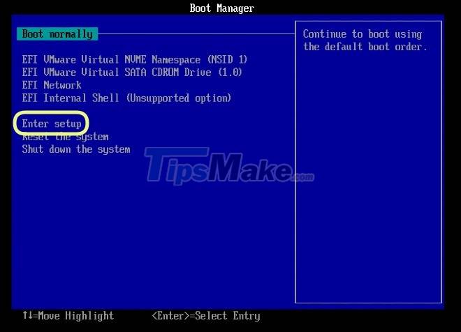Steps to install windows 11 on virtual machine, how to install windows 11 on VMware Picture 9