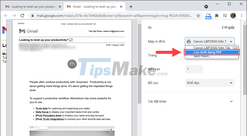 Steps to save Email as PDF Picture 4