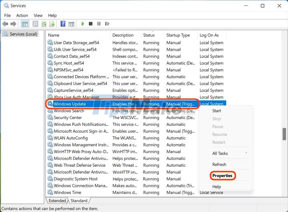 Steps to turn off Windows 11 Update, How to stop updating Windows 11 Picture 3