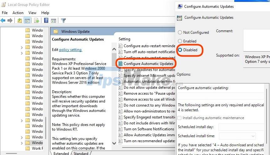 Steps to turn off Windows 11 Update, How to stop updating Windows 11 Picture 7