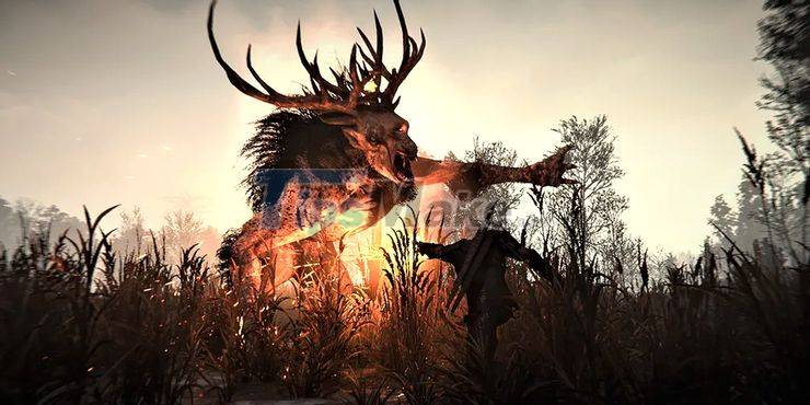 The Scariest Creatures in The Witcher 3! Picture 3