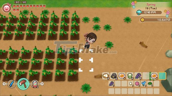 Tips for playing Story of Seasons: Friends of Mineral Town Picture 2