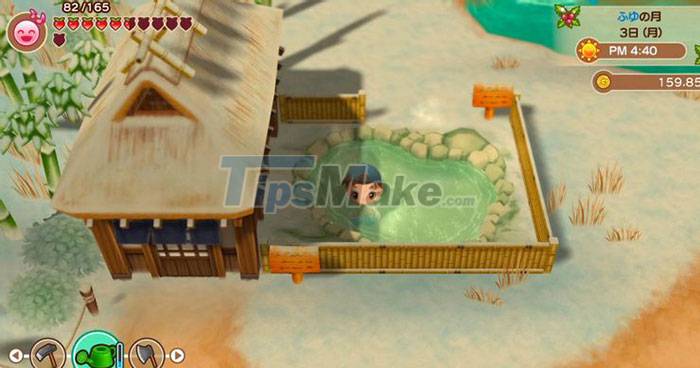 Tips for playing Story of Seasons: Friends of Mineral Town Picture 3