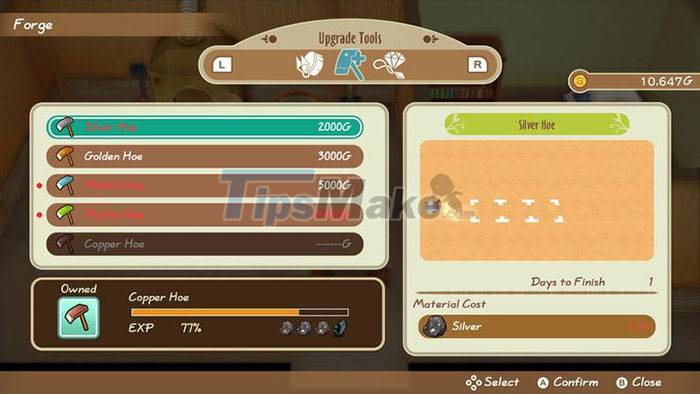 Tips for playing Story of Seasons: Friends of Mineral Town Picture 4