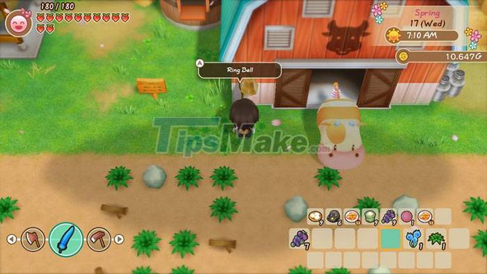 Tips for playing Story of Seasons: Friends of Mineral Town Picture 5
