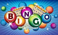 How To Choose The Best Bingo Sites For Beginners