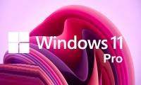 How to upgrade Windows 11 Home to Windows 11 Pro