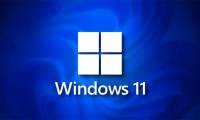 How to use live wallpapers on Windows 11