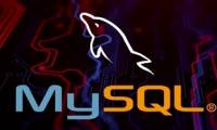 Instructions on how to install MySQL on Windows 11 computers