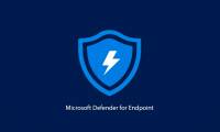 Microsoft Defender for Endpoint encountered an error that could not be started on Windows Server
