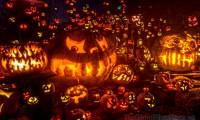 Pictures of beautiful Halloween pumpkins