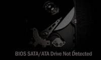 What to do if BIOS cannot detect ATA/SATA hard drive in Windows?