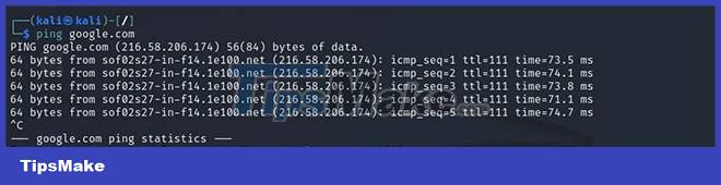 10 useful DNS settings and network management commands in Linux Picture 5