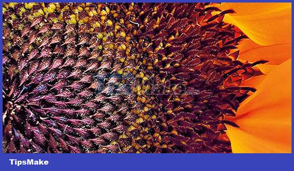 4 iPhone 13 camera features you may not know Picture 3