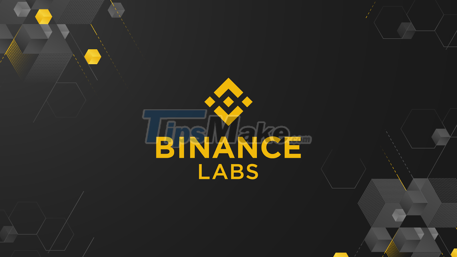 Cryptocurrencies depreciate, Binance sets up a web 3.0 investment fund Picture 1