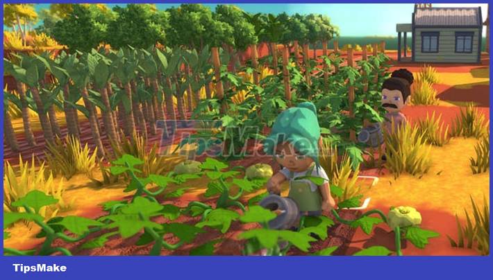 Dinkum tips for beginners Picture 3