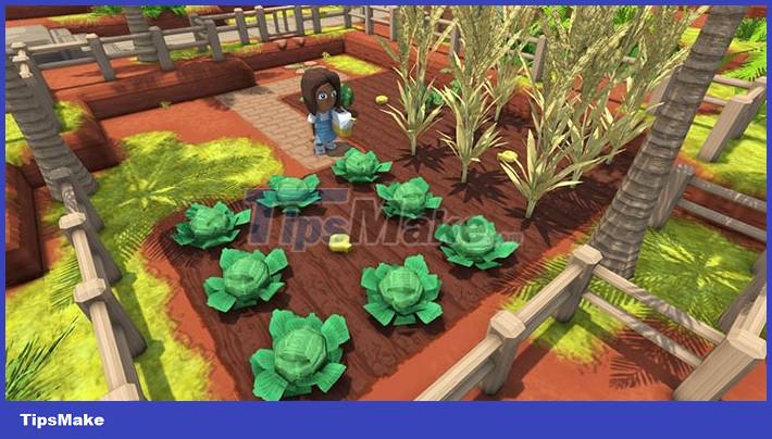 Dinkum tips for beginners Picture 4