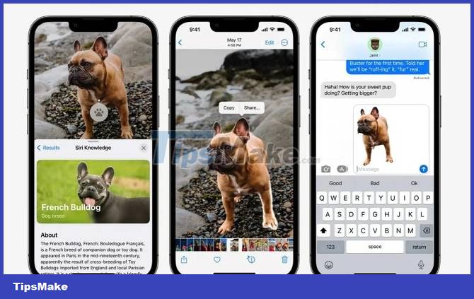 Features on iOS 16 that do not support older iPhones Picture 2