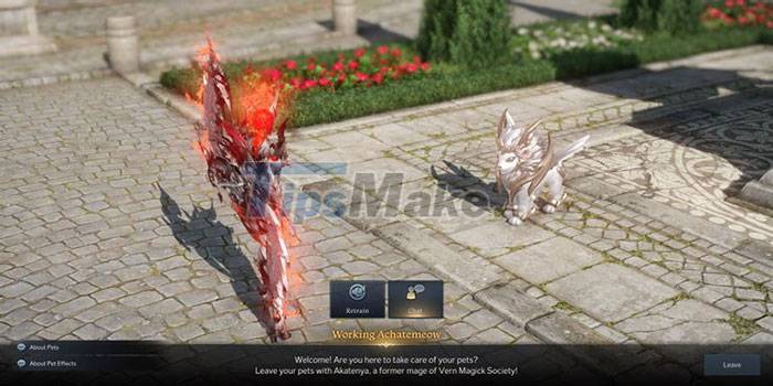 Guide to Collecting and Powering Pets in Lost Ark Picture 2