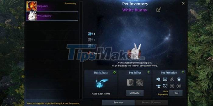 Guide to Collecting and Powering Pets in Lost Ark Picture 4