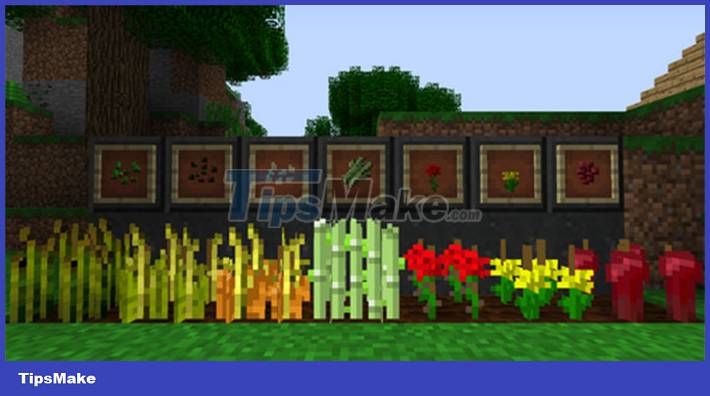 Guide to farming in Minecraft Picture 1