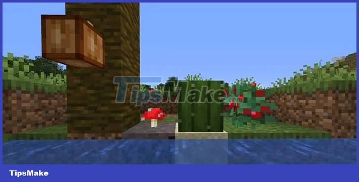 Guide to farming in Minecraft Picture 4