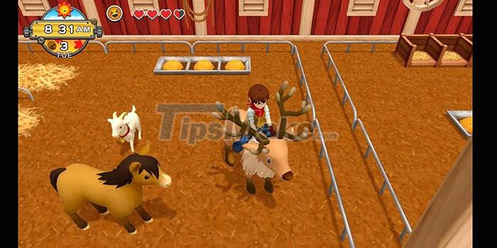 Harvest Moon guide for beginners Picture 3