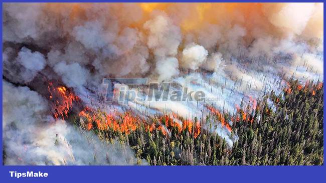 How do wildfires affect Earth's ozone layer? Picture 1
