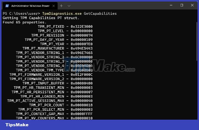 How to access TPM Diagnostics tool to query security data on Windows 11 Picture 4