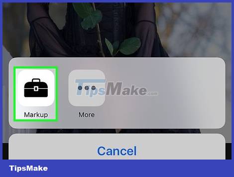 How to Add Text to Photos on iPhone Picture 5